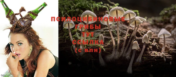 МДПВ Абаза
